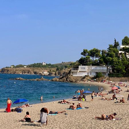 Studio 07 Argeles Sur Mer . La Plage A Pied, L'Espagne A 30 Mn Exterior foto