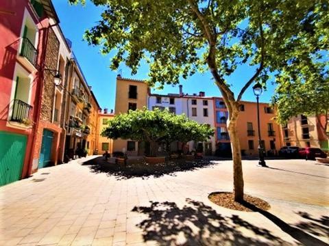 Studio 07 Argeles Sur Mer . La Plage A Pied, L'Espagne A 30 Mn Exterior foto
